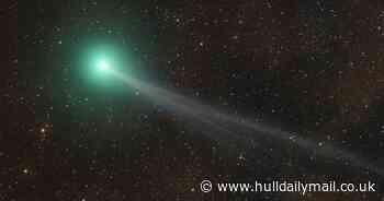 How to see Comet Nishimura in 'once in a lifetime' experience