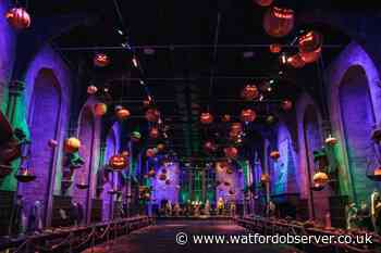 Harry Potter Studios London: How to get tickets to Nox