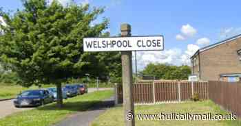 Man, 21, arrested after 90 cannabis plants discovered at Bransholme address