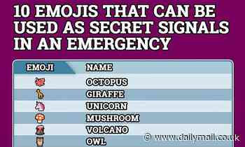 Why techsperts are urging all parents to have a 'secret emoji' with their children