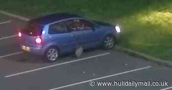 Driver's expensive decision to throw McDonald's wrappers from car window