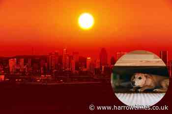 Met Office and BBC have say on 32C UK heatwave expected soon