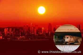 Met Office and BBC have say on 32C UK heatwave expected soon