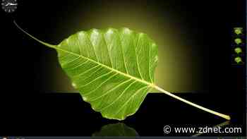 Bodhi Linux 7.0 is its best, most user-friendly release yet