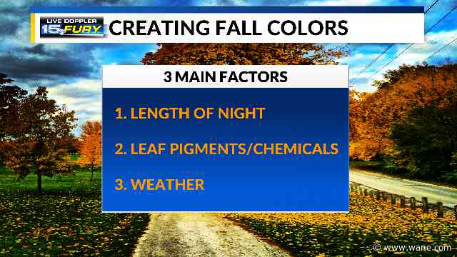 Some trees are changing colors ahead of fall, here's why and how it happens