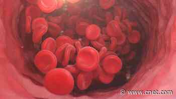 Blood Type and Your Heart: Understanding the Vital Connection     - CNET