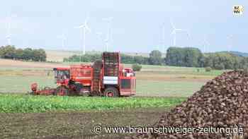 Die Herbsternte beginnt bald im Landkreis Wolfenbüttel
