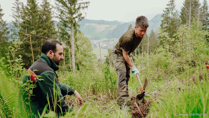 Immenstadt: Anpacken für den Schutzwald 