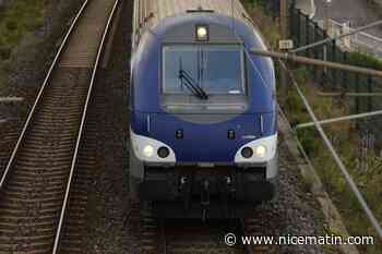 Prendre tous les transports publics avec un abonnement unique? L'idée germe en France