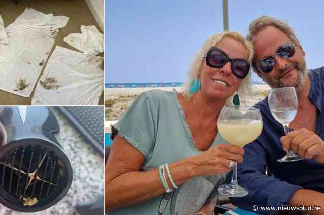 Rottend fruit tussen de kussens en drugs in de haardroger: gasten nemen wraak op B&B-uitbaters Isabelle en Stefan