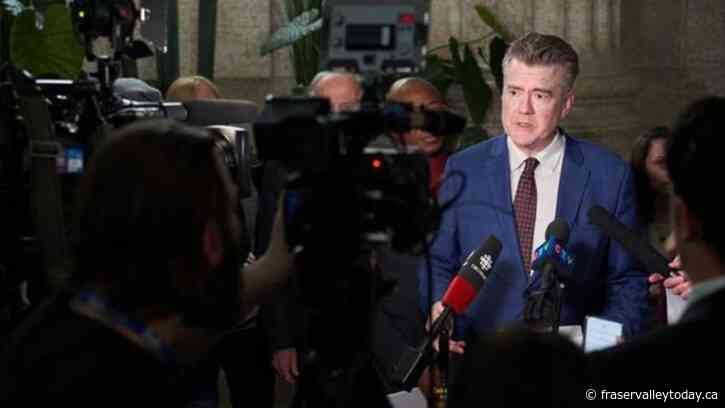 A profile of Dougald Lamont, leader of the Manitoba Liberal party since 2018