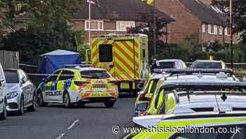 Masefield Avenue, Stanmore stabbing: Woman held dying victim