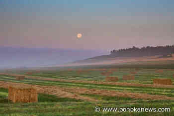 AgriStability Program deadline extended due to dry conditions, wildfires