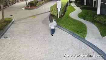 WATCH: Surveillance video shows at least one suspect of armed carjacking arrested in Sunny Isles Beach