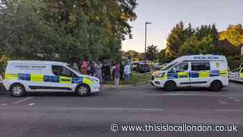 Masefield Avenue, Stanmore stabbing: Victim, 19, named