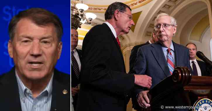 GOP Senator Provides Update on Mitch McConnell After His Scary Freeze-Ups