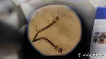 Hamilton confirms its 1st human case of West Nile Virus in 2023