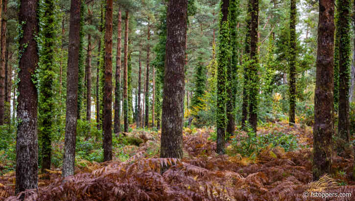Embracing the Magic of Fall: Your Guide to Nailing Fall Landscape Photography