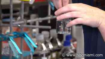FIU scientists trying to eliminate microplastics in Biscayne Bay 