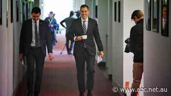 'No intention' to review Qatar Airways decision despite Senate inquiry