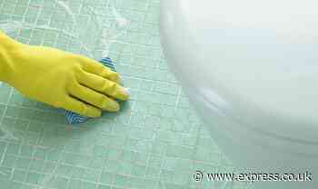 ‘Game-changing’ £1 bathroom staple removes urine smells from toilets in ‘15 minutes’