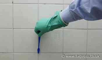 70p bathroom essential is the ‘best option’ for removing ‘stubborn stains’ from tile grout