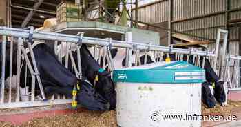 Der Roboter im Kuhstall