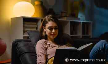 Millions of Britons paid to cut energy usage this winter - how does it work?