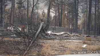 Canada's 'last resort' recovery fund should make communities more disaster-resistant, critics say