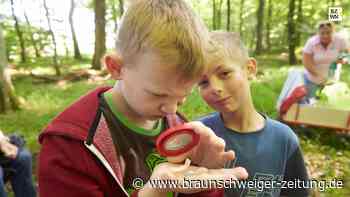 Wenn in Salzgitter mitten im Wald ein Klassenzimmer steht