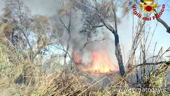 Incendio a Fiumicino, fiamme alle spalle della spiaggia di Passoscuro