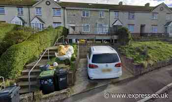 UK council forces man to tear down decking after using Google Earth to catch him out