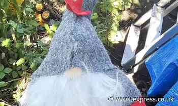 Police issue urgent warning to homeowners as Christmas gnomes start showing up in gardens