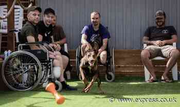 Ukrainian soldiers rehab with injured animals in PTSD centre built by UK and US veterans