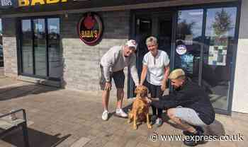 'Miracle' as lost dog walks into restuarant with her own missing poster in the window