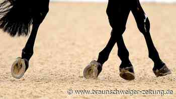 Rath bringt Dressur-Team in Führung