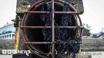 MPs call for investigation after BBC News report on sewage