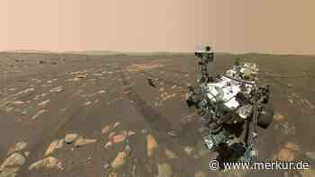Nasa-Rover findet „Haifisch-Flosse“ und „Krebsschere“ auf dem Mars