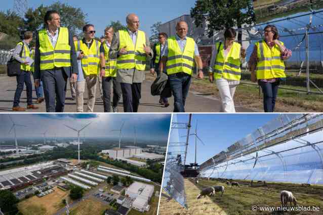 Grootste zonnespiegelpark van Europa staat in ons land, schapen helpen bij het onderhoud