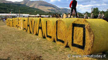 Amatrice a cavallo 2023