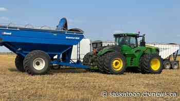 Drought, smoke and grasshoppers made for challenging growing season in Sask.