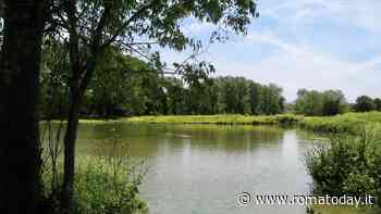 Poetry Village alla Caffarella
