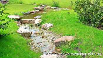 Kurpark Enzklösterle: Beine und Seele baumeln lassen