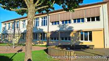 Mehlschwalben im Gäu: Geschützte Vögel beim Brüten gestört