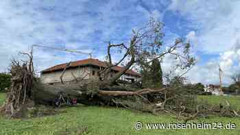 „Es hat wüst ausgeschaut“ - So geht es den Betroffenen der Unwetterkatastrophe von Hofham heute