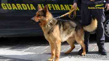 In auto con oltre mezzo chilo di hashish, coppia in manette