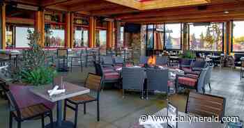 Pup-friendly Lazy Dog Restaurant plans 2024 opening in Northbrook