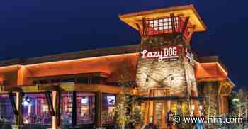How Lazy Dog’s focus on culture and innovation has driven growth