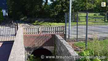 Teile des Essenroder Hochwasserschutzes sind jetzt in Planung