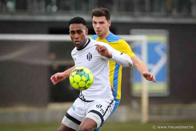 Coach Danny Boffin drukt geruchten over wanbetalingen bij Diest de kop in: “Ja, het klopt dat we niet op tijd betaald werden, maar intussen is dat allemaal rechtgezet”